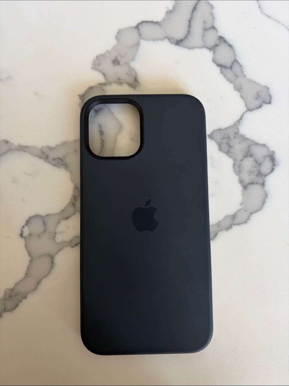 iPhone 13/ 13Pro Mag Safe Black Silicone Case - Apple Brand